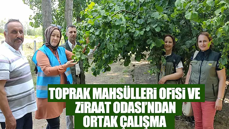 TOPRAK MAHSÜLLERİ OFİSİ VE ZİRAAT ODASI'NDAN ORTAK ÇALIŞMA