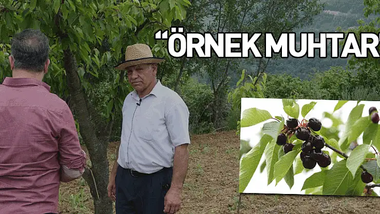 Örnek muhtar