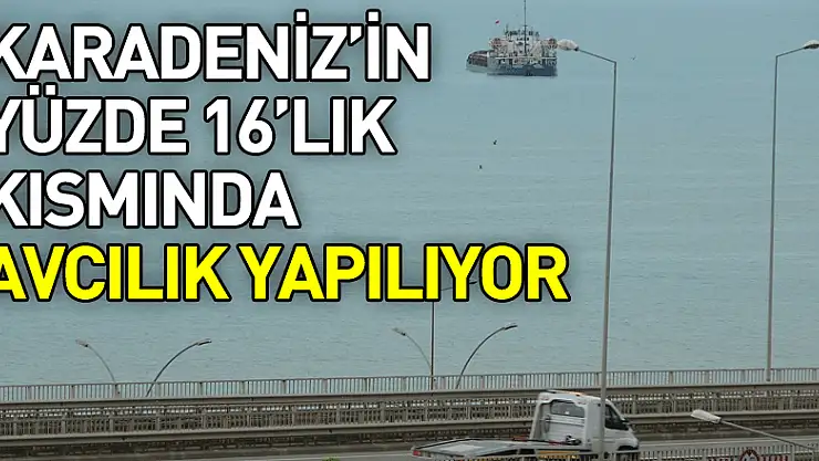 Doç. Dr. Erüz: 'Karadeniz'in yüzde 16'lık kısmında avcılık yapılıyor'