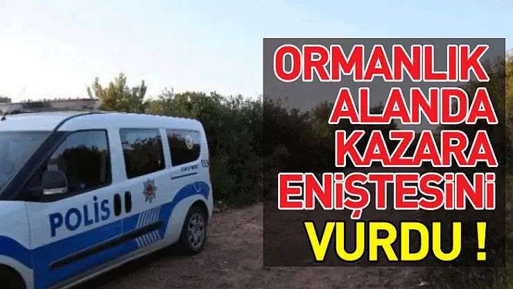 Ormanlık alanda kurtlara ateş etti, kazara eniştesini vurdu