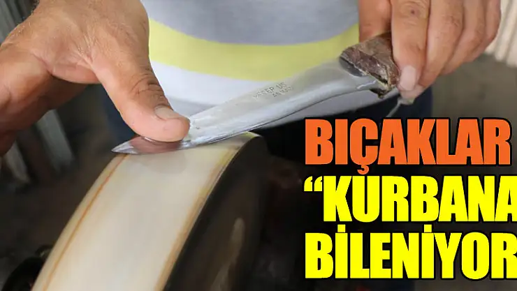 Bıçaklar kurbana bileniyor