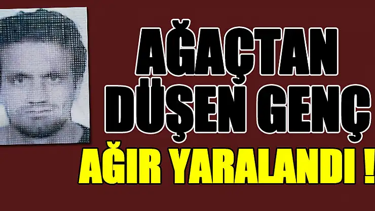 Ağaçtan düşen genç ağır yaralandı