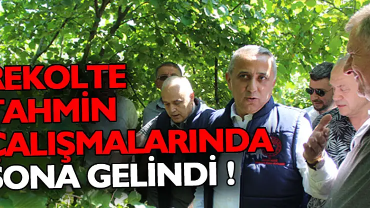 REKOLTE TAHMİN ÇALIŞMALARINDA SONA GELİNDİ