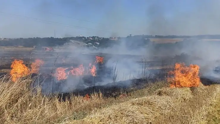  Saman balyaları alev aldı, ormanlık alana sıçramadan söndürüldü