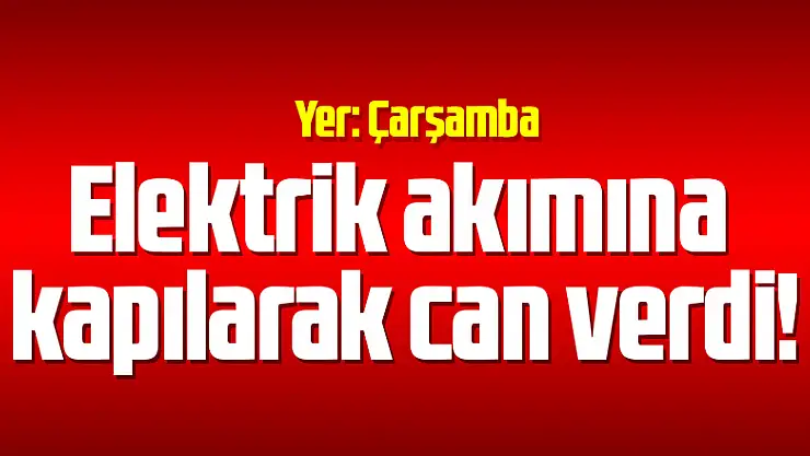 Elektrik akımına kapılarak can verdi!