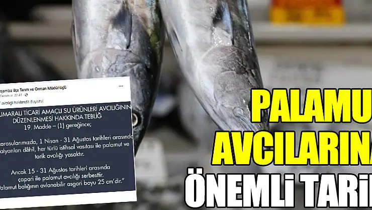 PALAMUT AVCILARINA ÖNMELİ TARİH