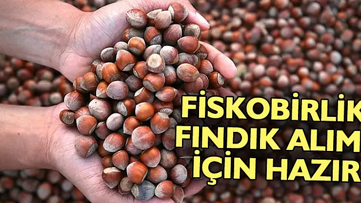 FİSKOBİRLİK, fındık alımı için hazır