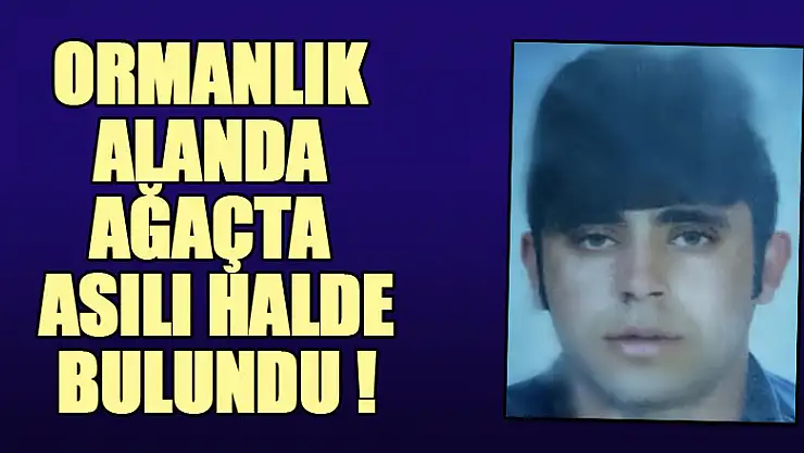 Samsun'da 27 yaşındaki genç ormanlık alanda ağaçta asılı bulundu