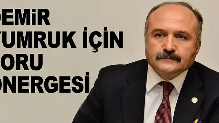DEMİR YUMRUK İÇİN SORU ÖNERGESİ