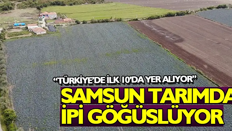 Samsun tarımda ipi göğüslüyor