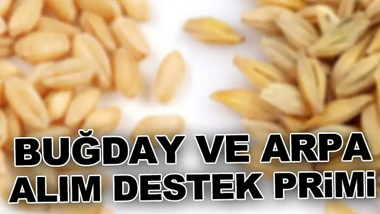 BUĞDAY VE ARPA ALIM DESTEK PRİMİ