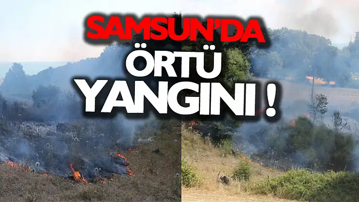 Samsun'da örtü yangını: 3 dönüm alan zarar gördü