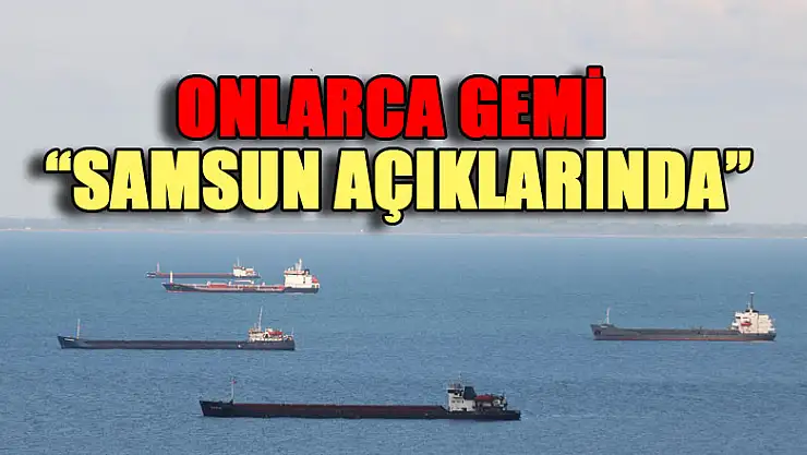 Onlarca gemi Samsun açıklarında bekliyor