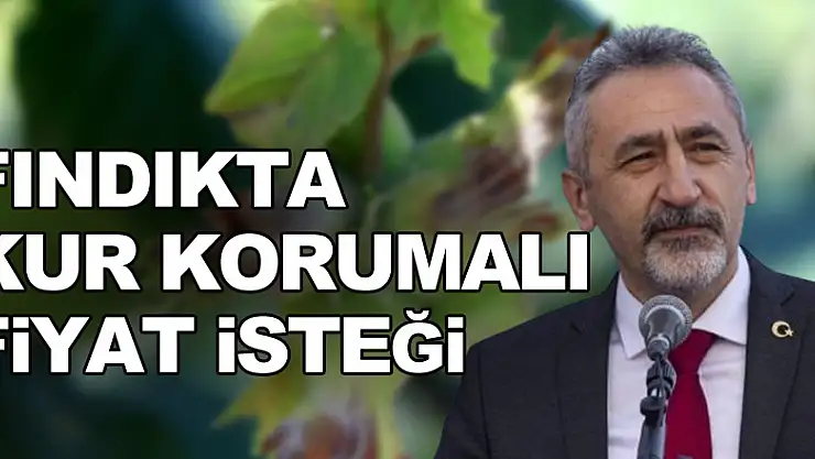 Fındıkta 'kur korumalı fiyat' isteği!