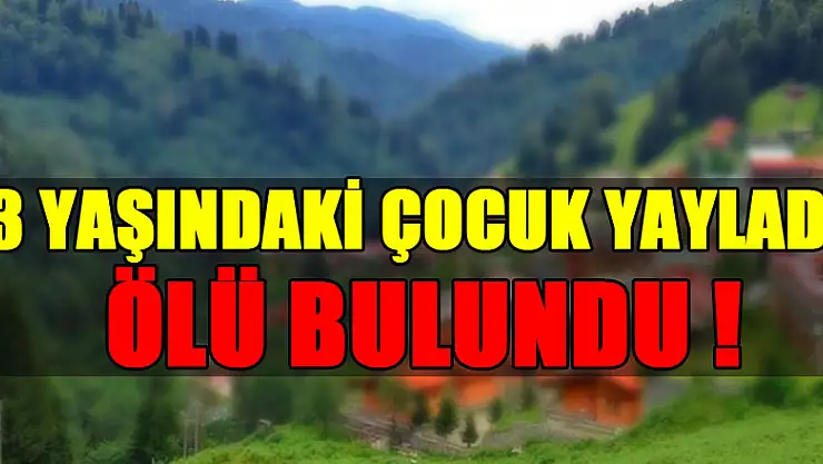 13 yaşındaki çocuk yaylada ölü bulundu