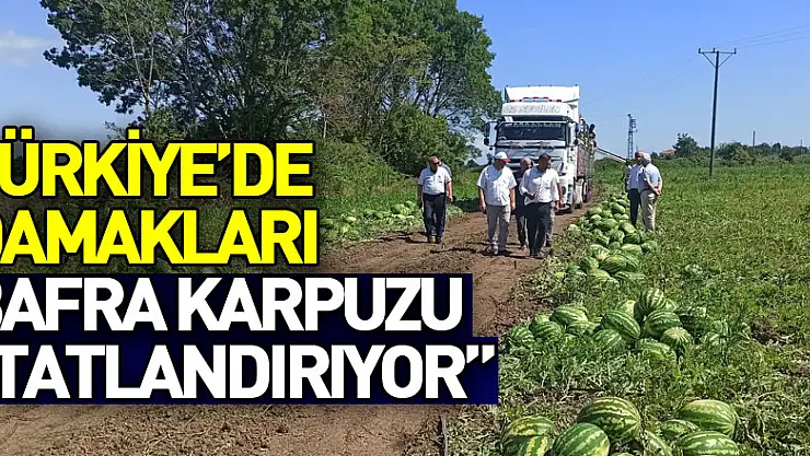 Türkiye'de damakları Bafra karpuzu tatlandırıyor