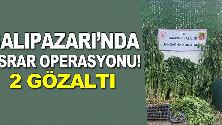 Salıpazarı'nda Esrar Operasyonu! 2 Gözaltı