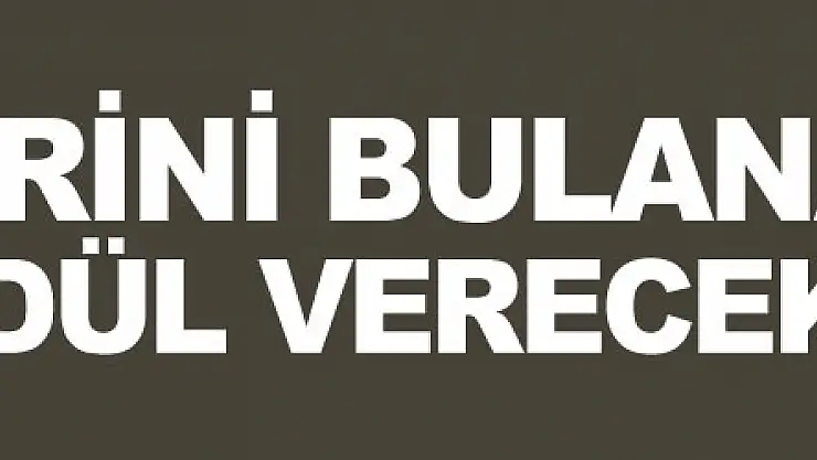 Köpeklerini bulana 5 bin TL ödül verecek