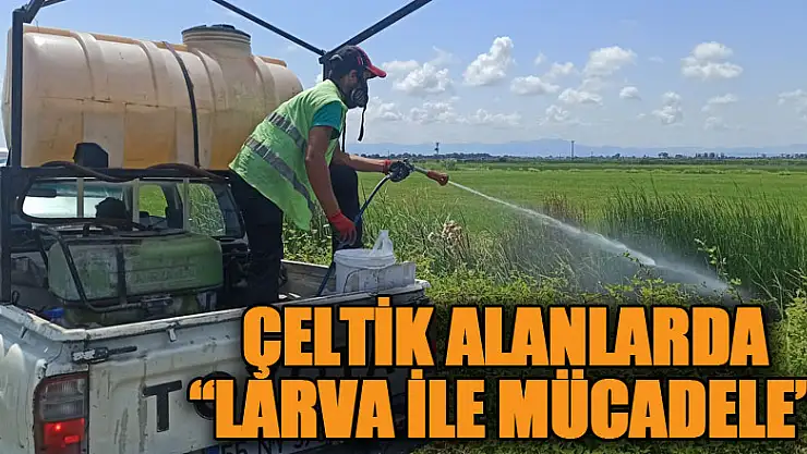 Çeltik alanlarında larva ile mücadele