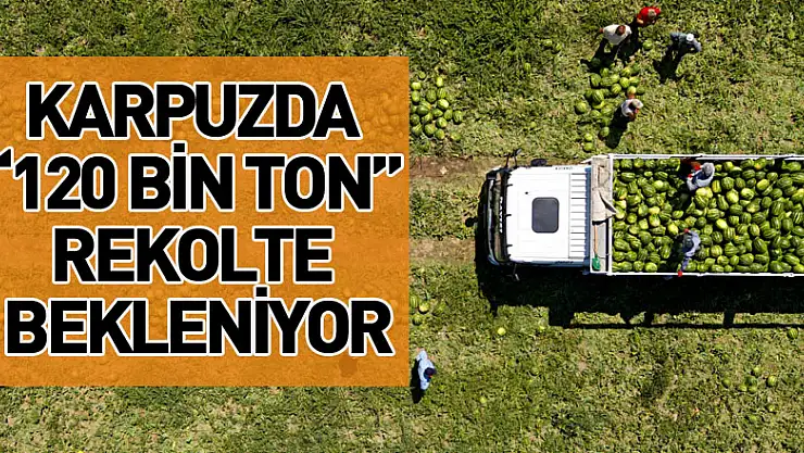 karpuzda 120 bin ton rekolte bekleniyor