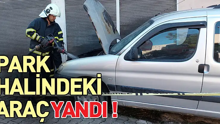 Samsun'da park halindeki araç yandı