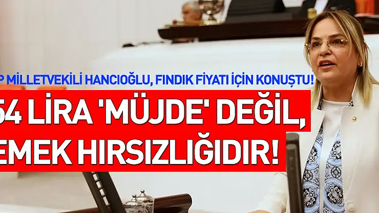 54 lira 'müjde' değil, emek hırsızlığıdır!