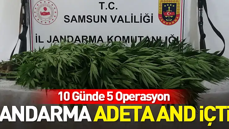 Jandarma Adeta And İçti! 10 Günde 5 Operasyon