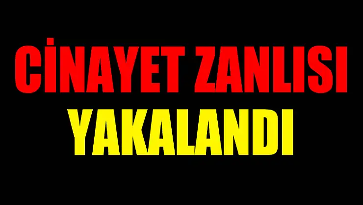  Cinayet zanlısı yakalandı