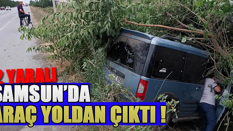 Samsun'da hafif ticari araç yoldan çıktı: 2 yaralı