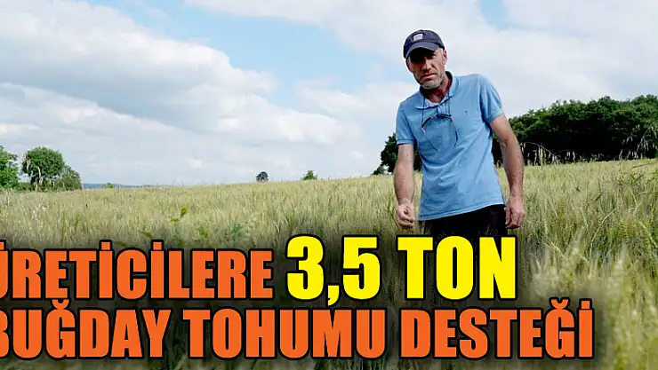 Üreticilere 3,5 ton buğday tohumu desteği