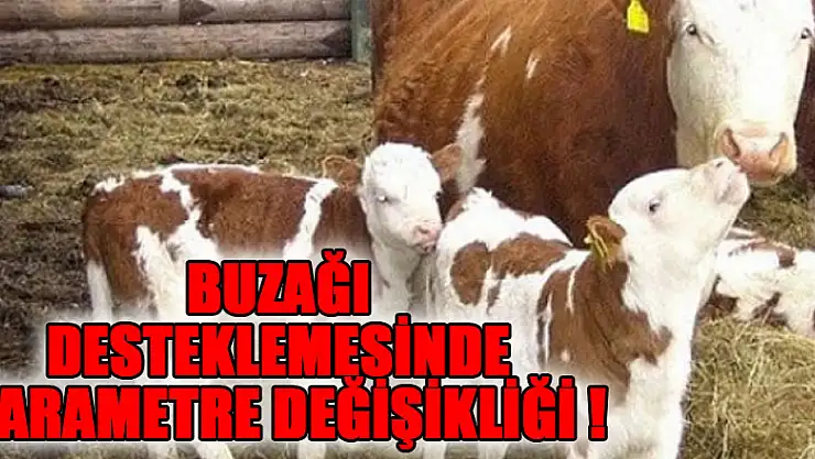 Buzağı Desteklemesinde parametre değişikliği!