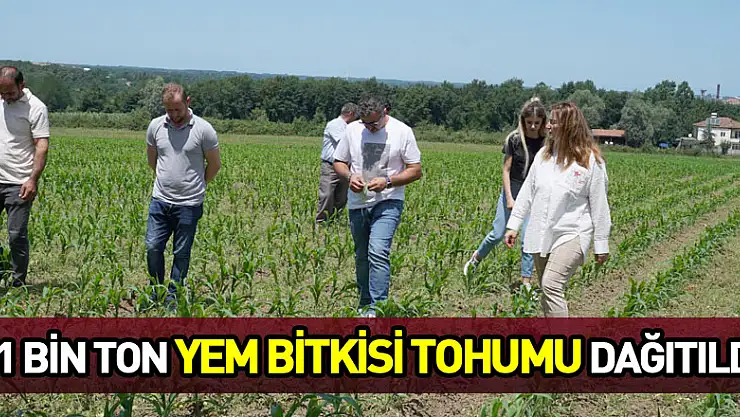 81 bin ton yem bitkisi tohumu dağıtıldı
