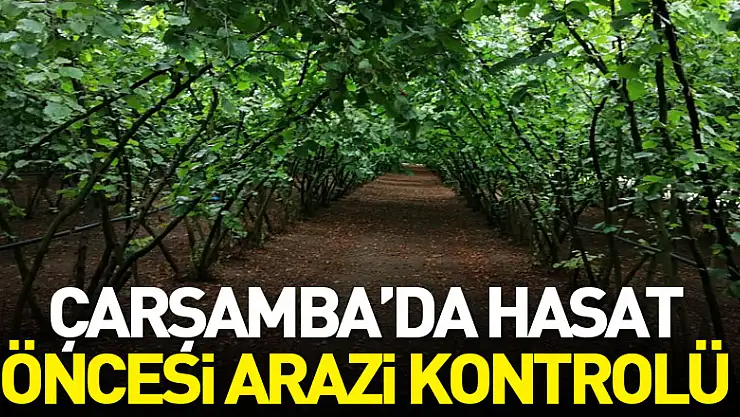 Çarşamba'da hasat öncesi arazi kontrolü