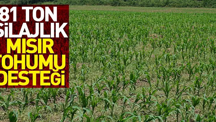 81 ton silajlık mısır tohumu desteği