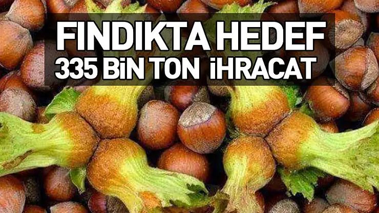 FINDIKTA HEDEF 335 BİN TON İHRACAT