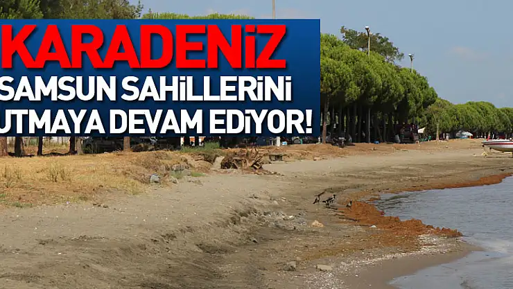 Karadeniz Samsun sahillerini yutmaya devam ediyor