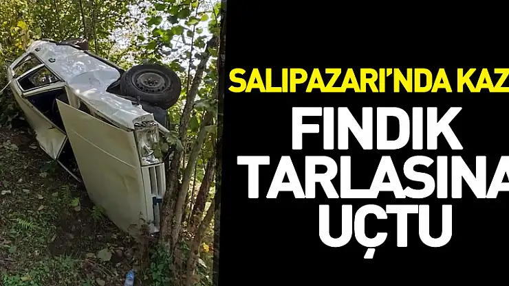 Salıpazarı'nda Kaza! Fındık Tarlasına Uçtu