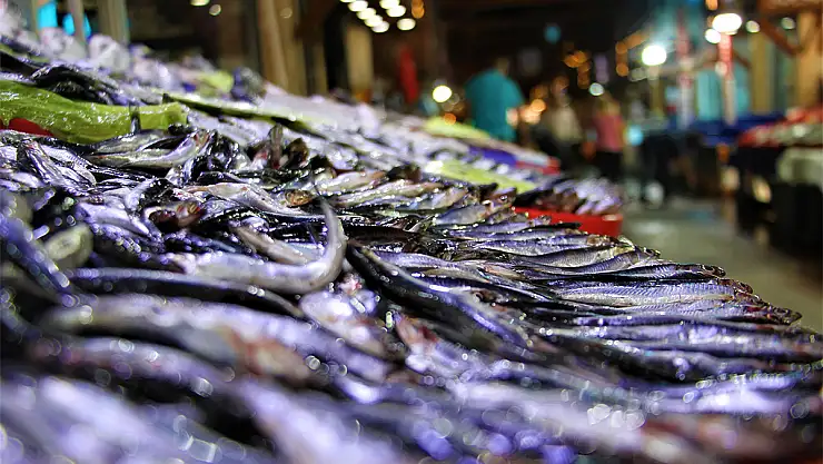 1 Eylül'de yasaklar bitiyor, balıkçılar av sezonuna hazırlanıyor