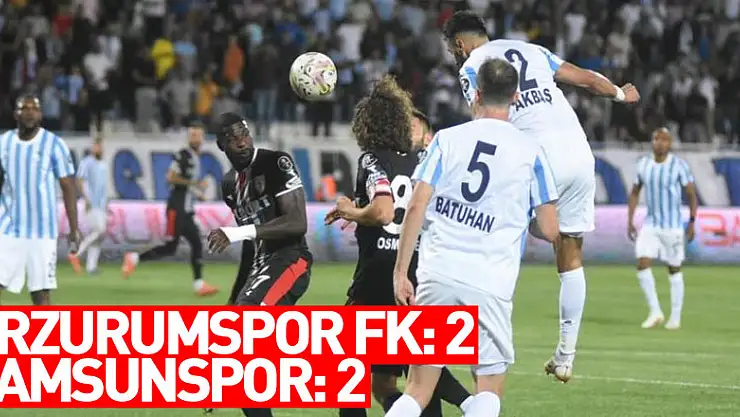Spor Toto 1. Lig: Erzurumspor FK: 2 - Samsunspor: 2