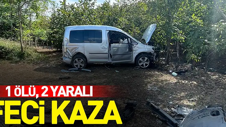 Feci Kaza: 1 ölü, 2 yaralı