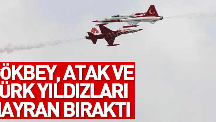 Gökbey, Atak ve Türk Yıldızları hayran bıraktı