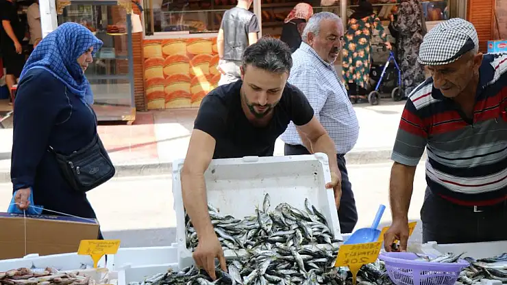 Sezonun ilk balıkları tezgahlarda: Palamuda niyet, istavrite kısmet