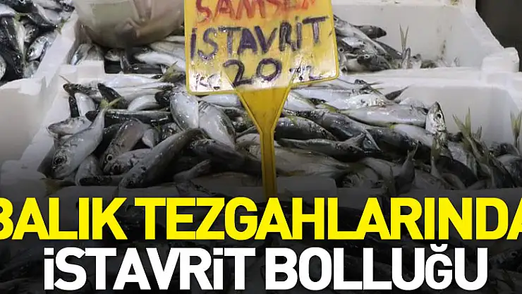 Balık tezgahlarında istavrit bolluğu