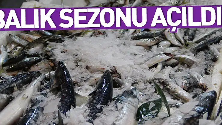 BALIK SEZONU AÇILDI !