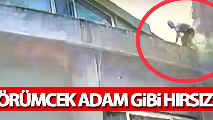 Örümcek adam gibi hırsız