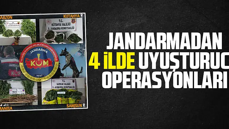 Jandarmadan 4 ilde uyuşturucu operasyonları