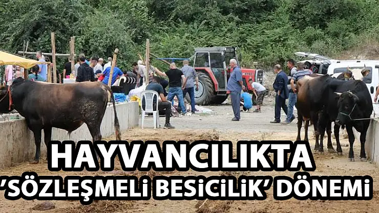 Hayvancılıkta 'Sözleşmeli Besicilik' dönemi