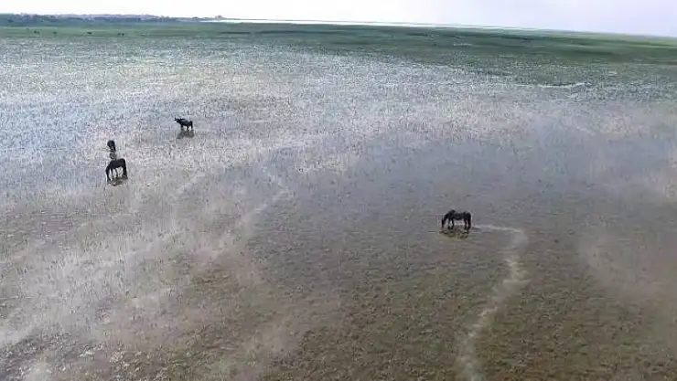 Kuş Cenneti'nin güzelliğine havadan bakış