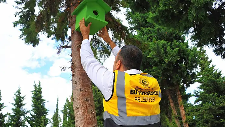 Atık ahşaplar kuşlara yuva oldu