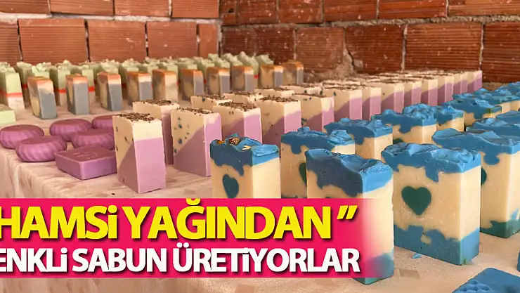 Hamsi yağından renkli sabun üretiyorlar